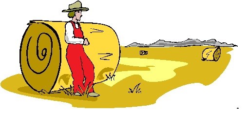 Neils Feeds & Fodder